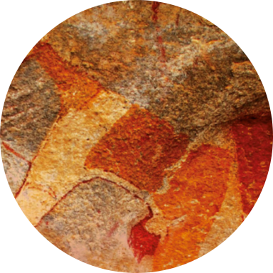 Territories of life